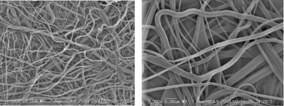Polypropylene -CBT.jpg